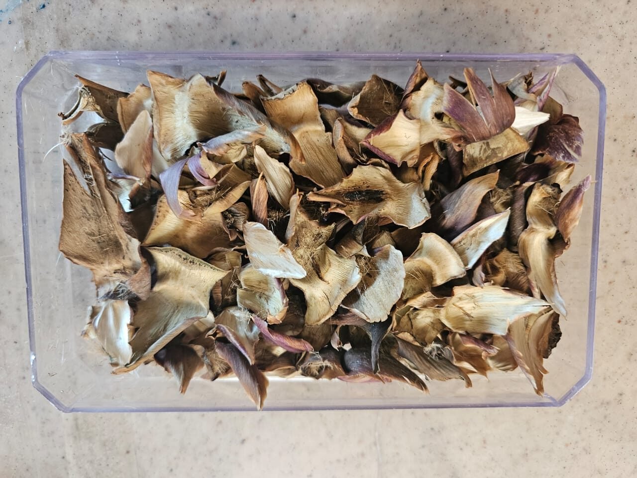 PHOTO-2025-04-27-19-28-31