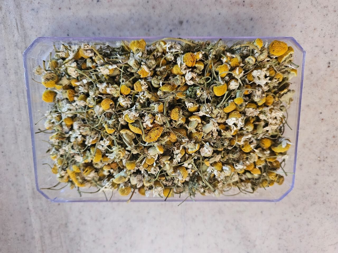 PHOTO-2025-04-27-19-28-32