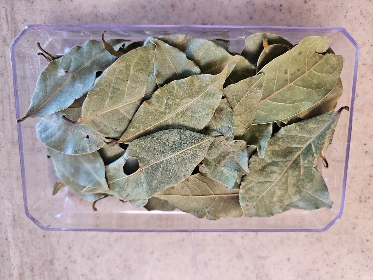 PHOTO-2025-04-27-19-28-33 2